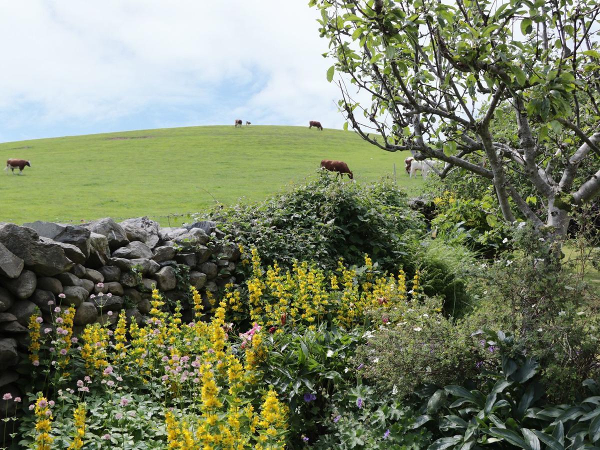 Waingate Cottage Cark Esterno foto